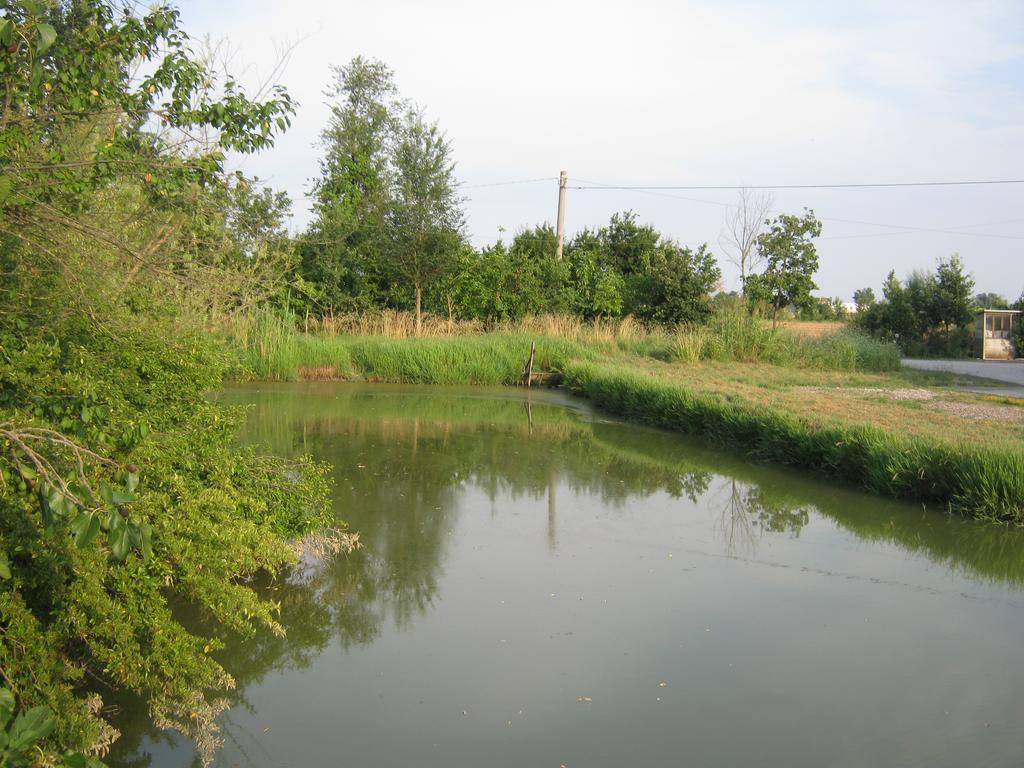 Agriturismo Lucchetta Reggiolo Kültér fotó